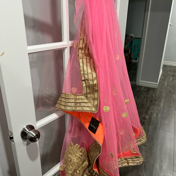 Indian latest lehnga sari dress - Picture 3 of 14